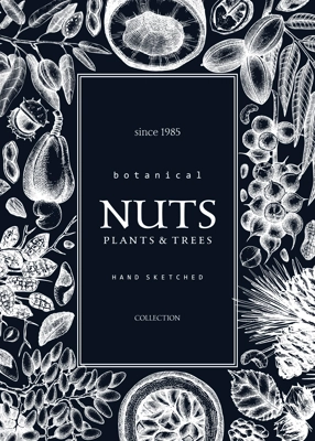 Vector nuts frame on chalkboard. Vintage nuts background in sketched style. Healthy food ingredients design template with botanical illustrations. Realistic branches, plants, nutshells sketches.